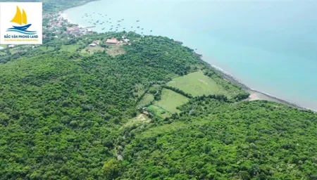 Đất biển sổ đỏ bãi tre nha trang chỉ 699 triệu/1.331m2 thanh toán 60 ngày công chứng