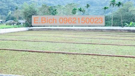 Tìm kiếm không gian sống xanh? 400m2 nghỉ dưỡng lương sơn hòa bình