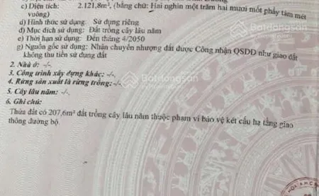 Hàng hiếm tại đt 831, tuyên bình, vĩnh hưng, long an, 18 tỷ, 2121 m2