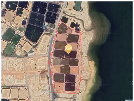Bán đất 16959m² ngang 220m giá 25.44 tỷ Xã Phước Dinh