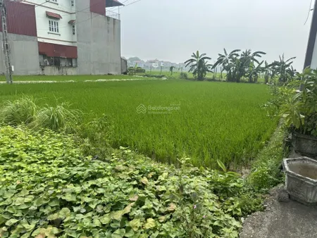 Bán đất gần mặt đường 12b định hoá, kim sơn, ninh bình, 3,1 tỷ, 110,5 m2 đẹp, nhiều tiện ích