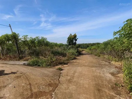 1,4ha đất đỏ bazan (thực tế hơn 2ha) lộc điền, lộc ninh, bình phước (cũ)