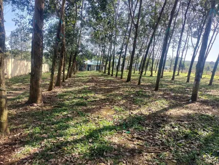 Bán 1.1 ha đất khu dân cư quảng thành, 1/ ql56 chỉ 5.7 tỉ