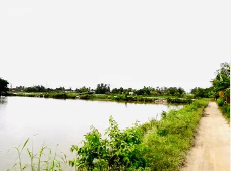 Bán đất tại vĩnh hanh, châu thành, an giang 72737 m2 giá thỏa thuận
