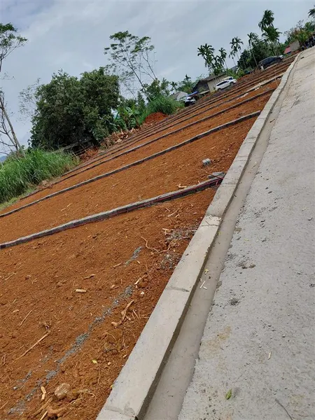 Cần tiền nên bán lỗ 2 lô đất tại thành trực mặt tiền 9m/lô giá 195 triệu/lô