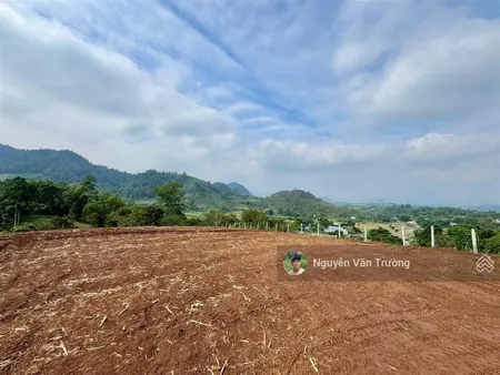 Bán gấp 3268m2 2000m2 thổ cư tại hợp phong cao phong hòa bình