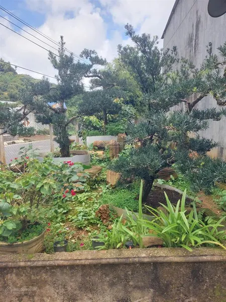 Bán gấp căn nhà mặt tiền phan huy ích, p3, tp bảo lộc có 65m2 mặt tiền, giá 6,9 tỷ