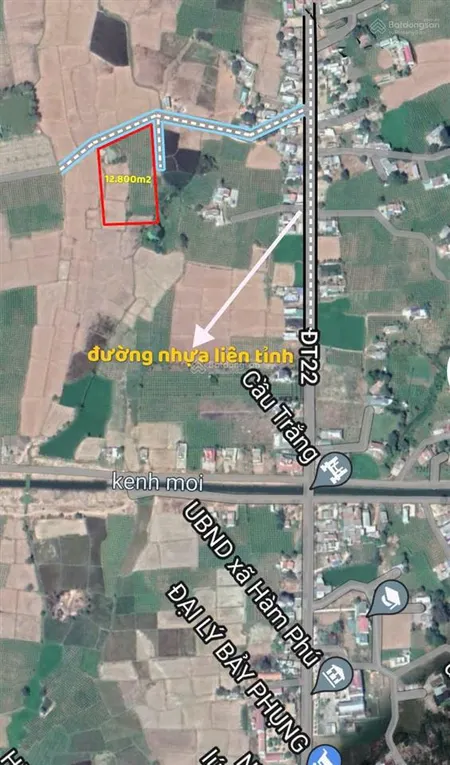Chính chủ bán 1,5 ha, trong đó có 632 m2 đất ở tại xã hàm thuận bắc tỉnh lâm đồng. giá 4 tỷ