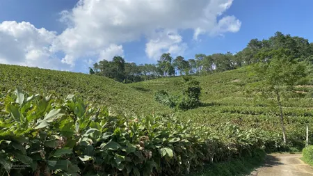 Một siêu phẩm nghỉ dưỡng tại khánh thượng, ba vì. mọi người sẽ rung rinh ngay từ cái nhìn đầu tiên