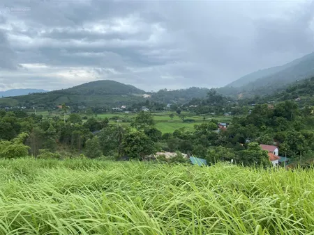 Cơ hội hiếm có với mảnh đất nghỉ dưỡng trên đỉnh đồi, view trọn 4 phía siêu đẹp. diện tích 7000m2