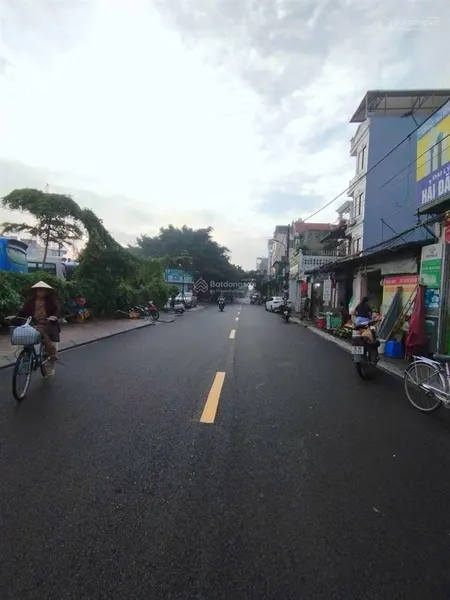 Phân lô phố giang biên 90m2, mt 4.7m, kinh doanh, 14 tỷ