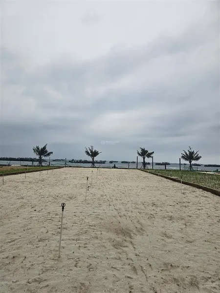 Đất view biển đặc khu lý sơn, quảng ngãi