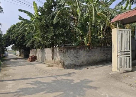 Đấu giá tương chúc ngũ hiệp thanh trì, diện tích 73m², giá 9 tỷ, phân lô vỉa hè, ô tô tránh.
