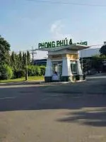 Bán đất nền mặt tiền đường trịnh quang nghị, xã phong phú, bình chánh dt 100m2, giá3,25 tỷ, sổ hồng