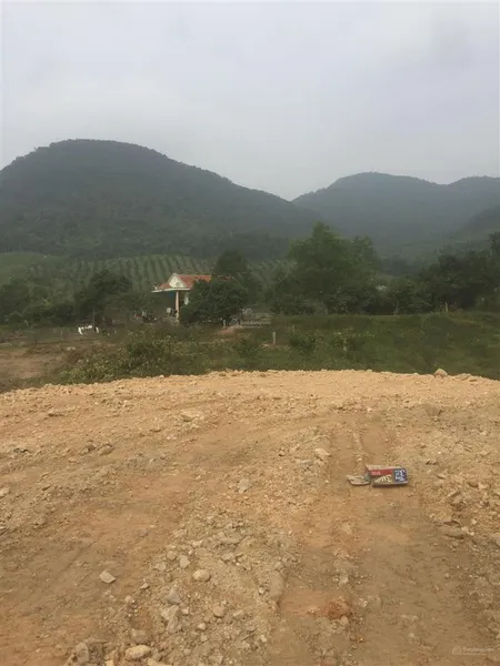 Bán đất thôn đài làng, xã vạn yên, huyện vân đồn, quảng ninh, quy hoạch 2024. 0919 686 ***