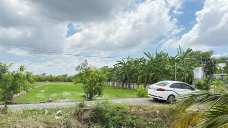 Bán đất nền tại xã tân trung, gò công, tiền giang, 3 triệu / m2, 2378 m2