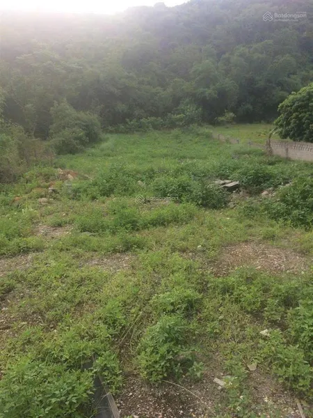 Vỡ nợ cần bán gấp lô đất giảm 2 tỷ diện tích 2300m2, lô đất đẹp đường 20m phường đông sơn, bỉm sơn