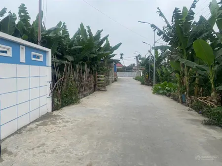 Lô đất thổ cư đẹp tại kim châm, mỹ đức, an lão mặt đường 5m cạnh biệt thự