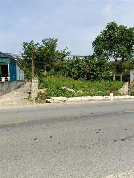 Bán đất quốc lộ 48b, ngọc sơn, quỳnh lưu, nghệ an, 2,3 tỷ, 314 m2 chỉ với uy tín