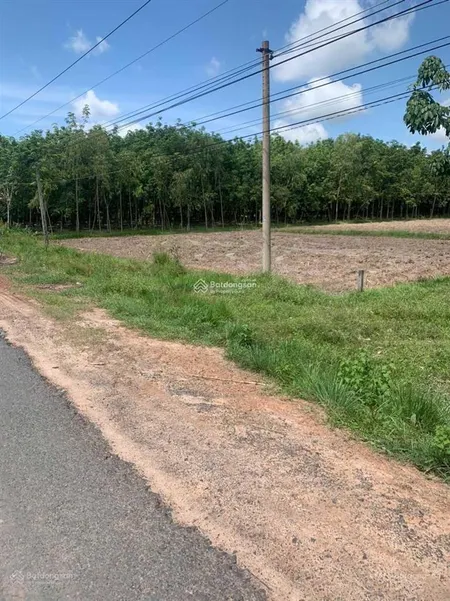 Bán đất thổ cư + cln, 10897.3m2 trong đó 500m2 thổ cư còn lại cln tại bến cầu tây ninh
