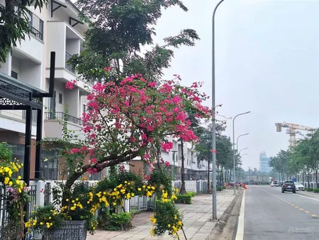 Rẻ nhất nhà phố 120m2, 3 tầng, chỉ 8 tỷ, ngay đại lộ hà nội gia bình. kđt centa vsip từ sơn