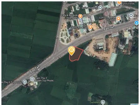 Bán đất 1503.8m² giá 8 tỷ Xã Tuy Phước