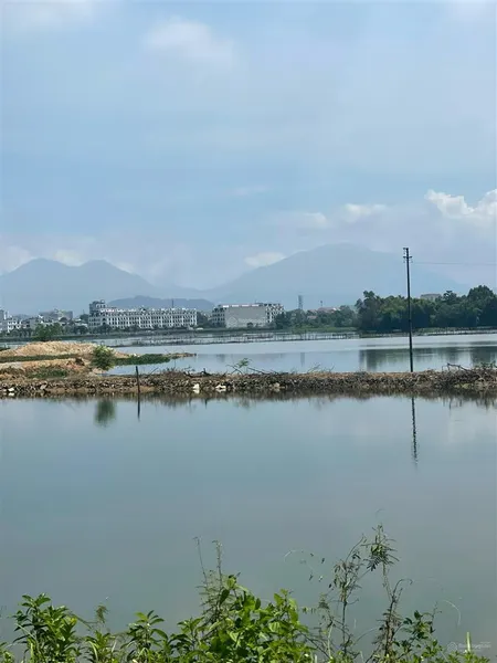 Bán ô đất 3100m2 mặt đường lam sơn tp vĩnh yên, vĩnh phúc, sẵn sổ công chứng 0975 676 ***