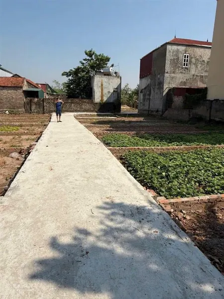 41.8m2 thọ an, đan phượng loanh quanh 2 tỷ