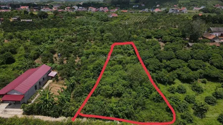 Siêu hot! đất vườn có thổ cư. 1,3 tỷ s=1450m2, xã tiến thắng, yên thế, bắc giang, mặt tiền 40m