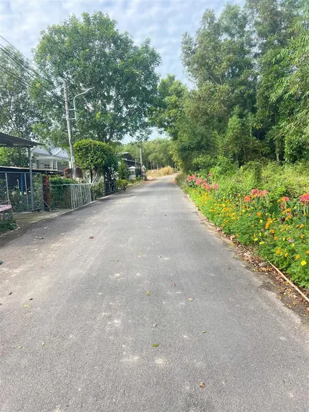 454m2 đất an điền , bến cát ngay cạnh khu công nghiệp rạch bắp giá 2 tỷ 050