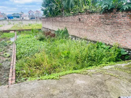 Bán 83m2 thổ cư sổ đỏ hà nội gần sông thoáng mát giá rẻ đầu tư xây nhà đều ổn