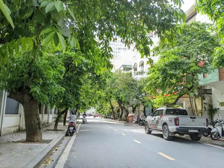 Bán đất pl hoàng cầu trần quang diệu đống đa, 125m2 mặt tiền rộng, đường ô tô tránh, giá 38 tỷ