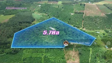 Bán đất rẫy cà phê quảng tân, 5.7ha đất đẹp như nông trường giá 1 tỷ 600 triệu/1ha