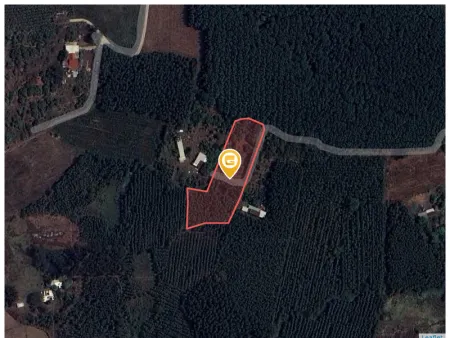 Bán đất 4298m² giá 12.9 tỷ Xã Xuân Quế