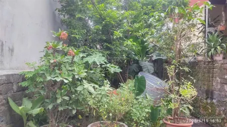Bán đất giá rẻ ít tiền muốn có đất thì về với em