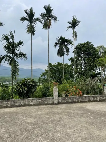 Cơ hội sở hữu nhà vườn sinh thái, đầy đủ tiện nghi ở đại phú, sơn dương, tuyên quang