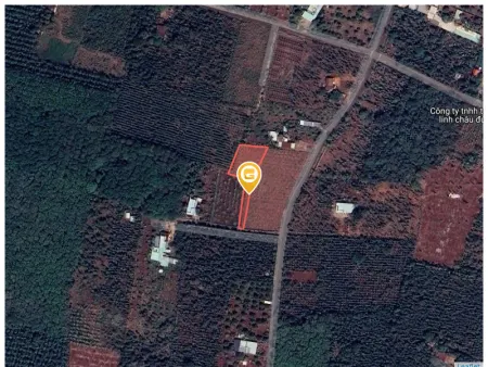 Bán đất 1087,7m² ngang 5m giá 950 triệu Xã Nghĩa Thành