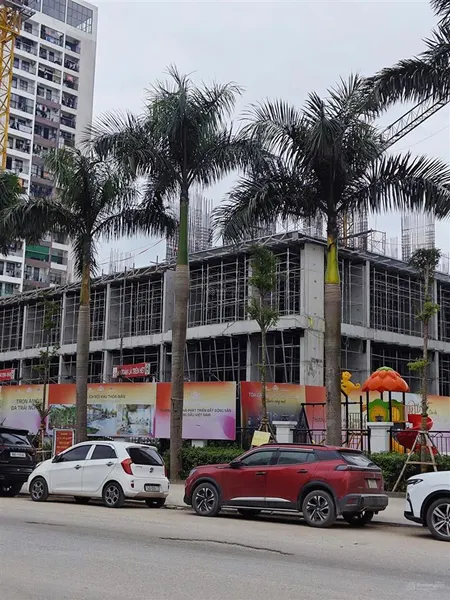 Cơ hội hiếm lotus 1 trái tim tp. bắc giang thanh toán 30%, nhận dòng tiền ngay