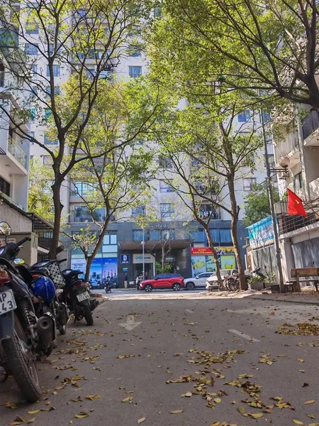 Bán nhà liền kề tw đảng trịnh văn bô 61m2 phân lô ôtô chạy vòng quanh, kinh doanh, giá 17 tỷ