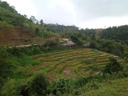 Cơ hội vàng đầu tư đất nghỉ dưỡng tại xóm mừng, cao phong hòa bình