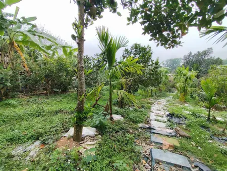 Mảnh đất nghỉ dưỡng ba trại sẵn khuôn viên nhỏ xinh, có ao, vườn cây ăn trái gần đường tl chợtrạm
