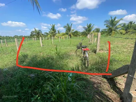 Bán đất tại xã bình ninh, (chợ gạo, tỉnh tiền giang) 350 triệu 124 m2 giá ưu đãi