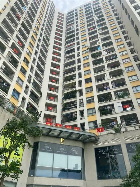 Căn hộ view sông hồng chung cư t&t riverview