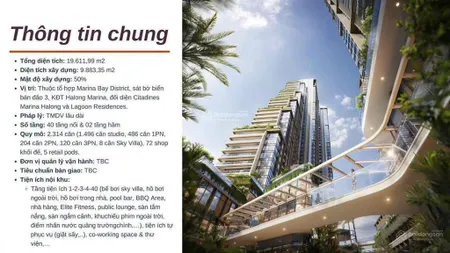 Hot!!! bảng hàng độc quyền cập nhật ngày 26/12/2025 aria bay tower hạ long