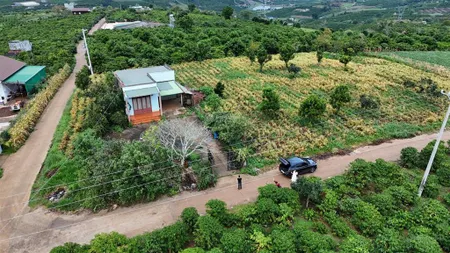Chính chủ bán lô đất view săn mây, tân hà, lâm hà, ngang 12m, 232m2, đường betong 5m, giá 650tr