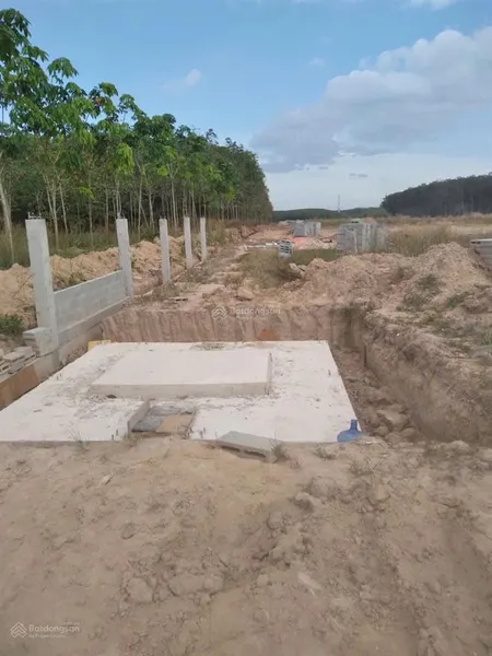 Cần bán 2,7ha skc tại long nguyên. mặt tiền đh 619 giá đầu tư 2,5tr/m2