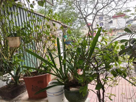 Cần bán nhanh trước tết f0 chtt đẹp nhất quận hai bà sổ to 2 thoáng dt sd ~40m vskk chỉ 2,69 tỷ