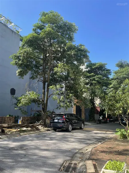 Hiếm, đất phân lô việt hưng 80m2 mt 7.5m lô góc đường rộng vỉa hè gần trường, chợ 16 tỷ