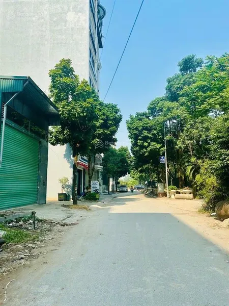 Đất phân lô đấu giá tứ hiệp thanh trì dt 84m mt 6m chào 24 tỷ