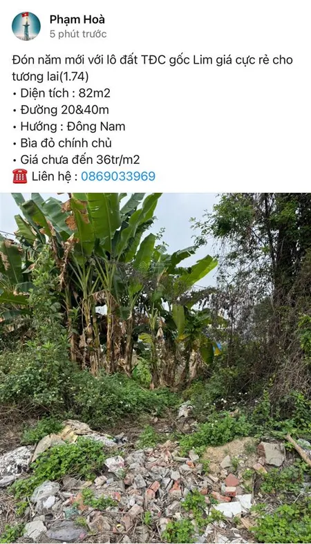 Bán đất tđc cây lim đằng hải giá chưa đến 36tr